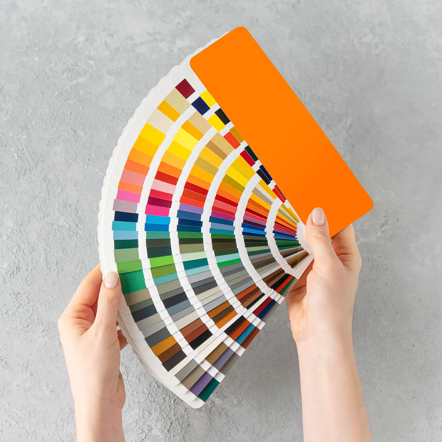 Farben-und-Dekore